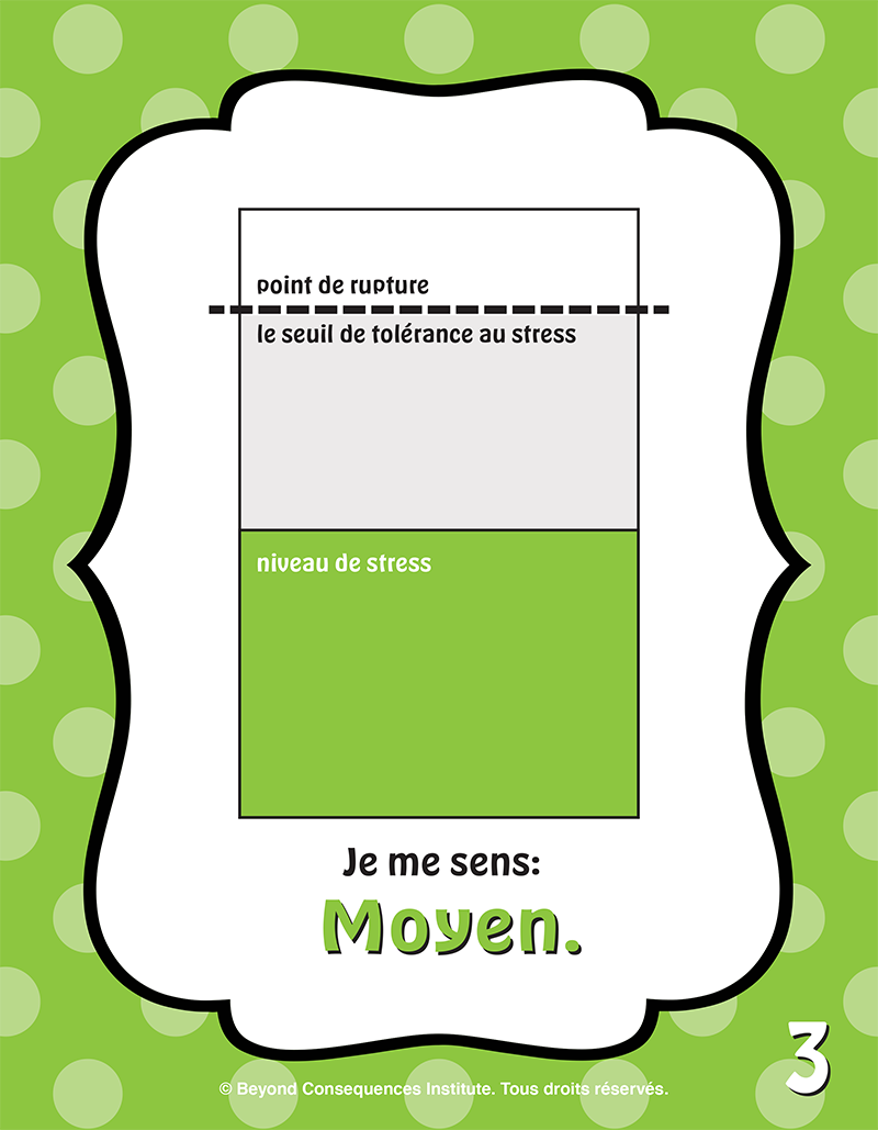 "Clip Left/Clip Right" Regulatory Tracking System  (Elementary version)